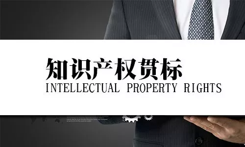 颐卓咨询集团-企业知识产权贯标|gb/t29490|企业知识产权管理规范|贯